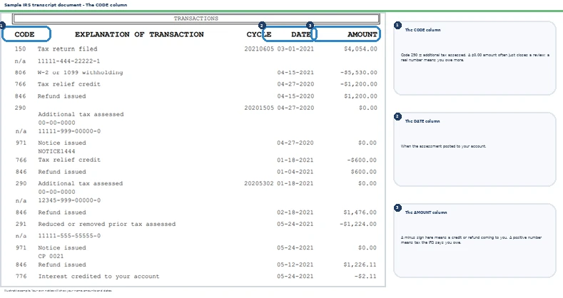 An annotated sample document for Code 290 IRS Transcript, with the key parts highlighted.