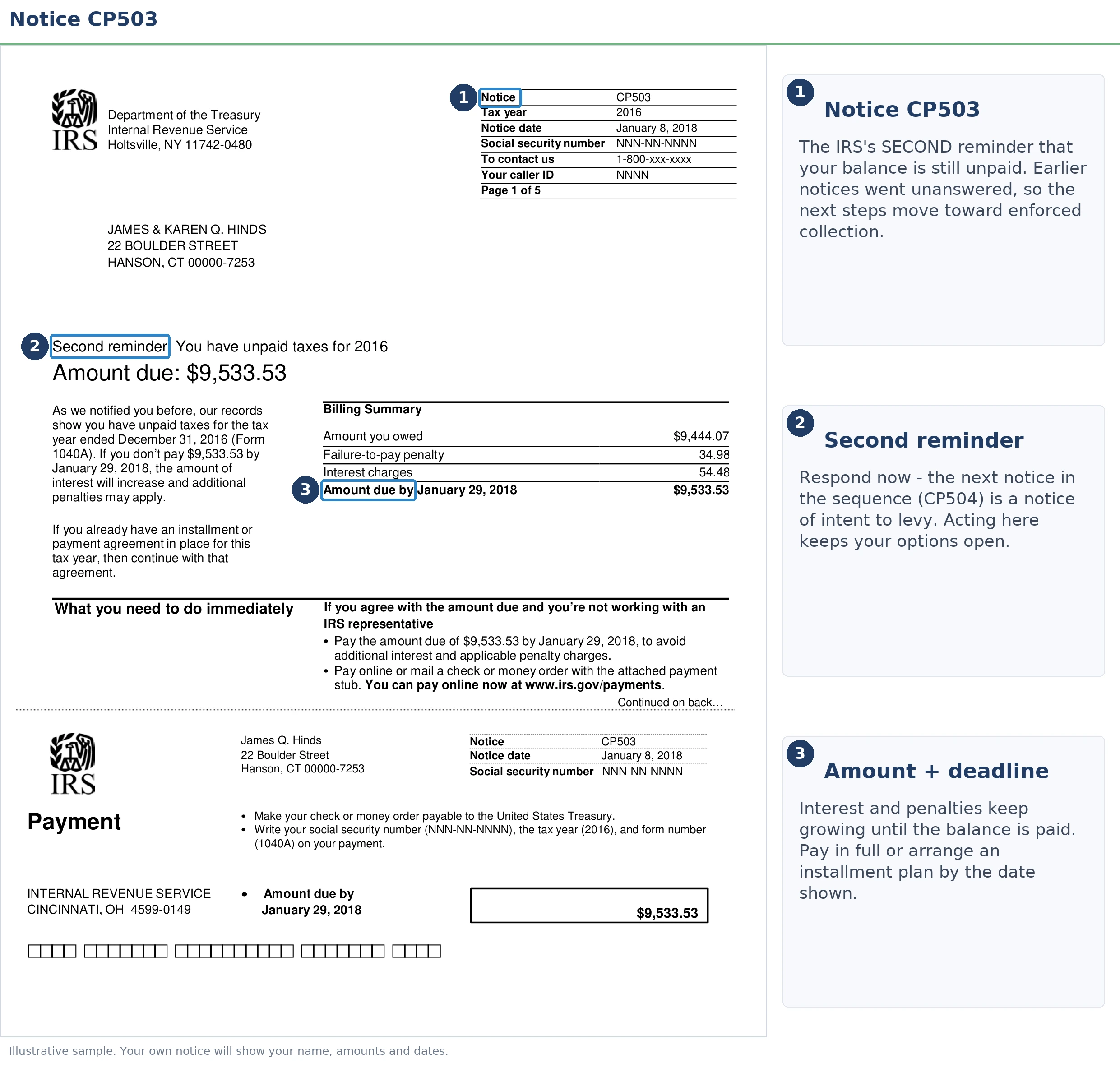 An exact sample of the IRS CP503 notice with the key parts highlighted.