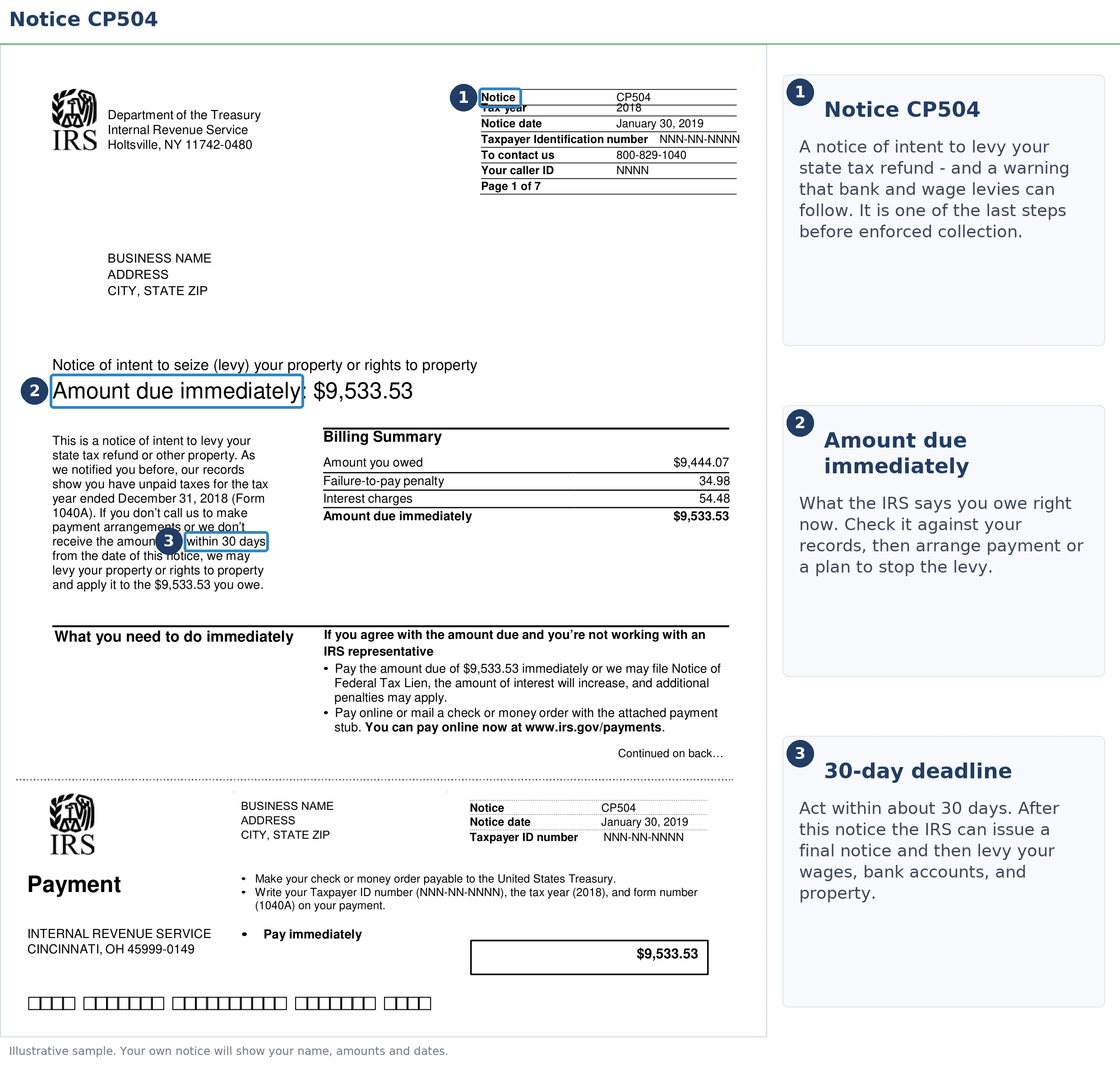 An exact sample of the IRS CP504 notice with the key parts highlighted.