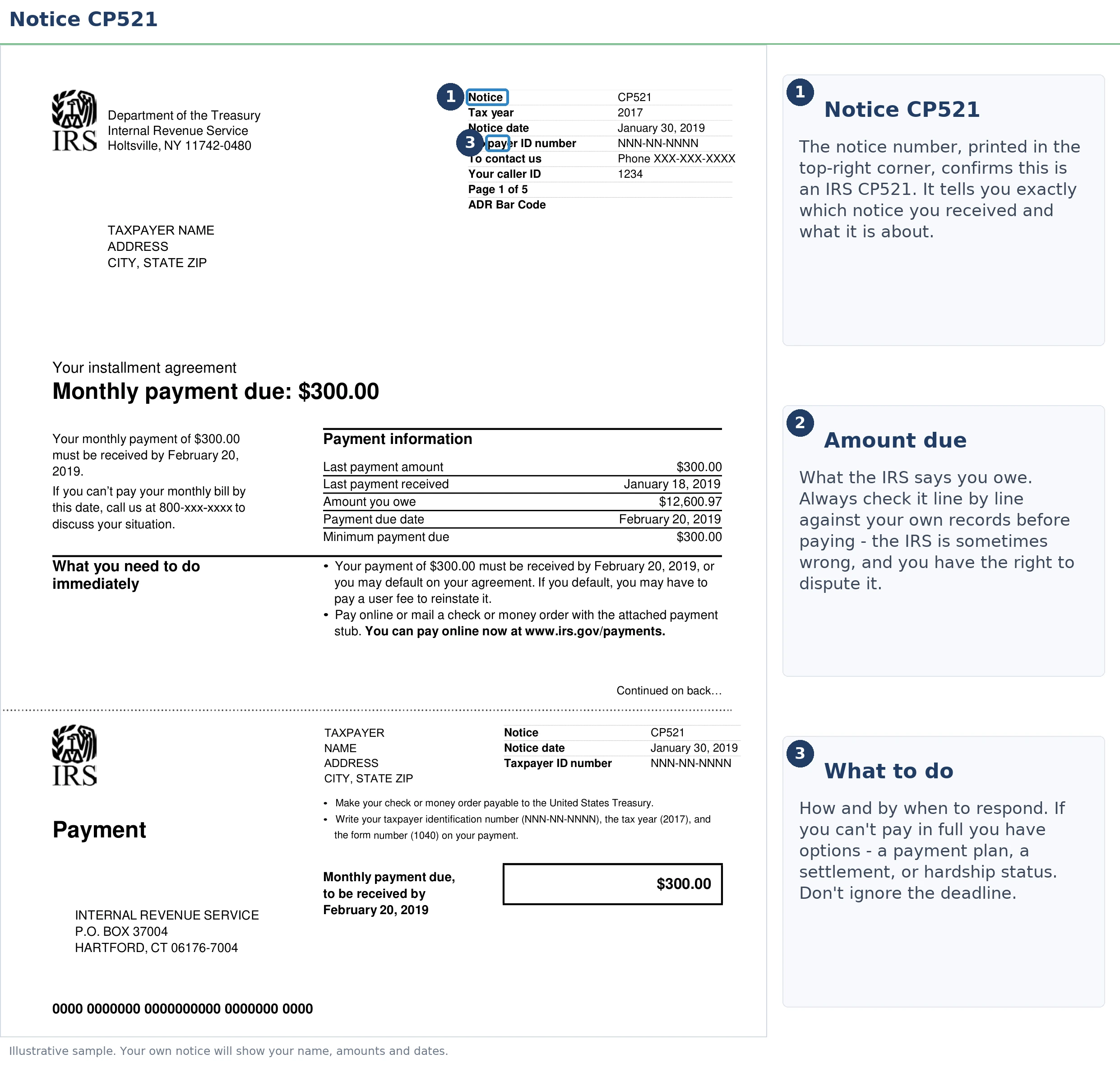 An exact sample of the IRS CP521 notice with the key parts highlighted.