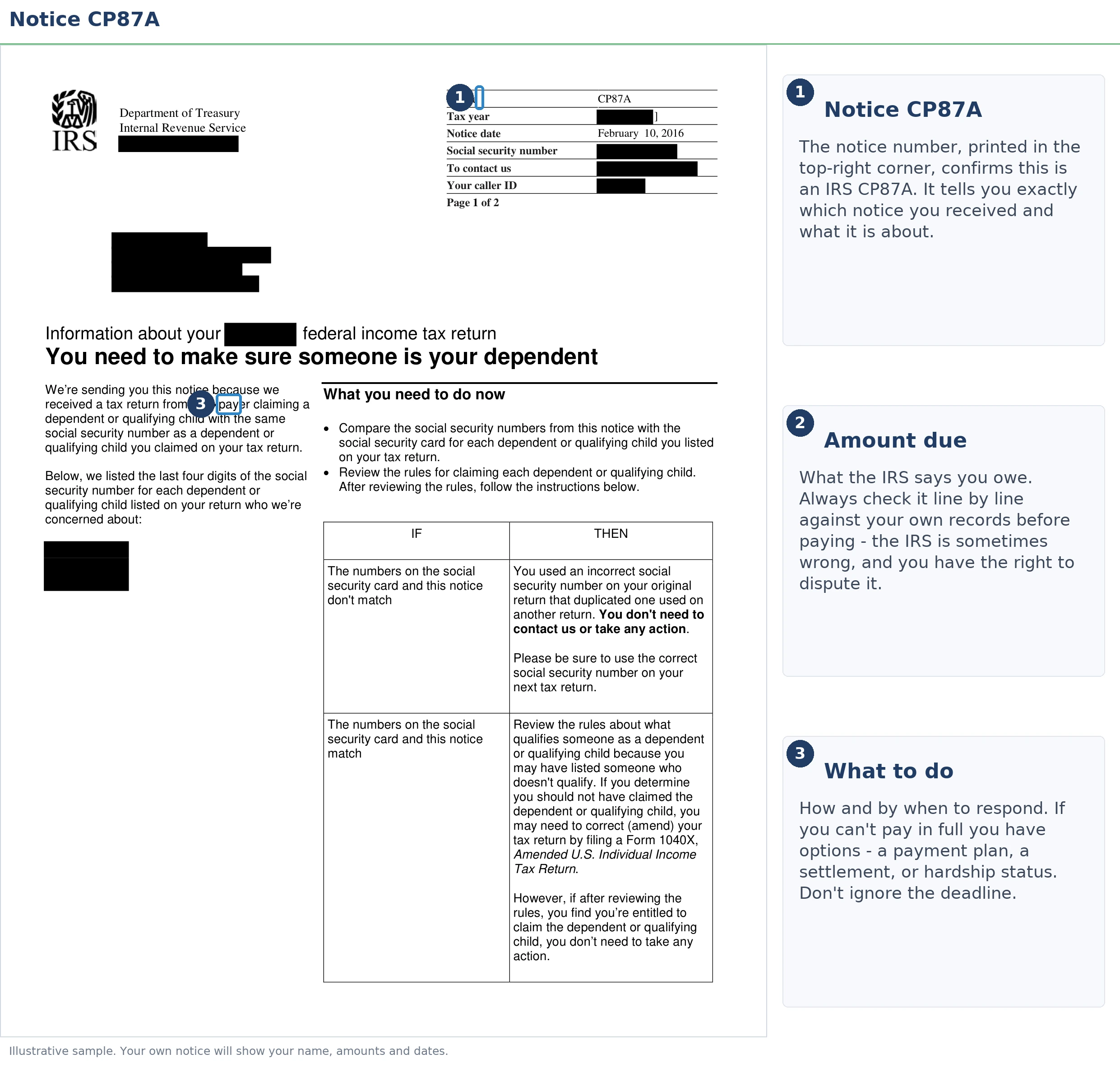 An exact sample of the IRS CP87A notice with the key parts highlighted.