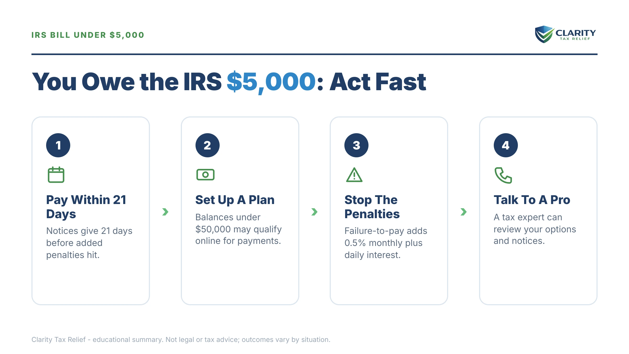 Infographic: key facts and deadlines for the IRS IRS notice.